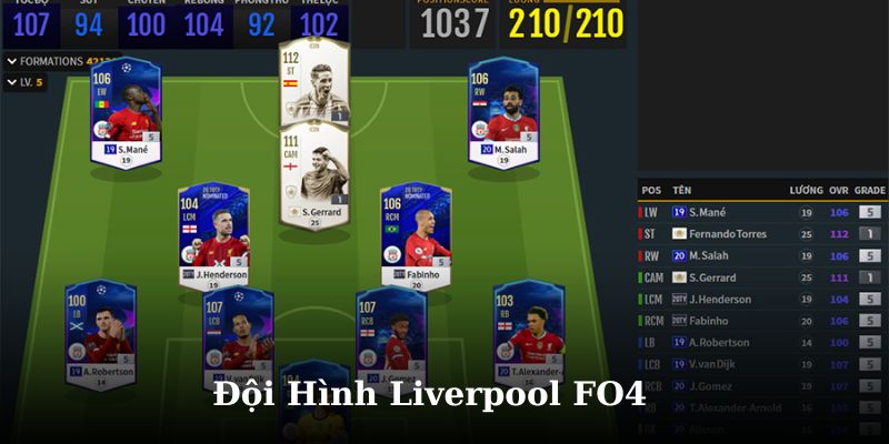 profile banner